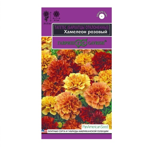 Бархатцы Хамелеон розовый  5шт_10