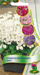 Примула малакоидес Микс  0_01гр_10