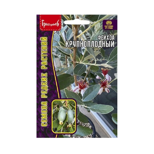 Фейхоа Крупноплодный 7-20 шт. _10