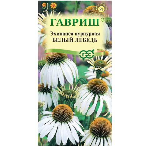 Эхинацея Белый Лебедь  0_1 гр_10