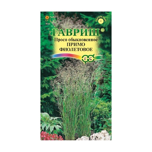 Просо посевное Колоритное  1гр_10