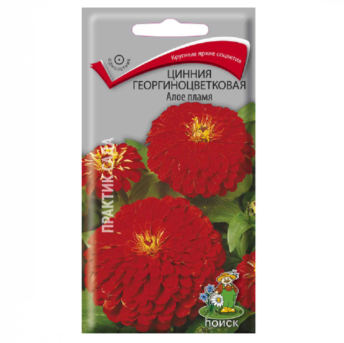 Цинния георгиноцветковая Алое пламя  0_4гр_10