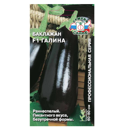 Баклажан Галина  0_1гр_10