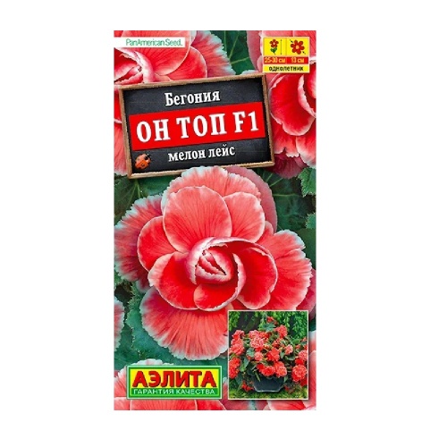 Бегония Он Топ F1 мелон лейс  5шт_10