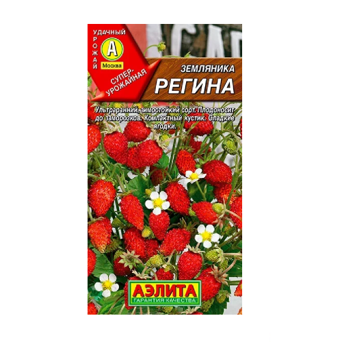 Земляника Регина F1 альпийская 0_04гр  _10