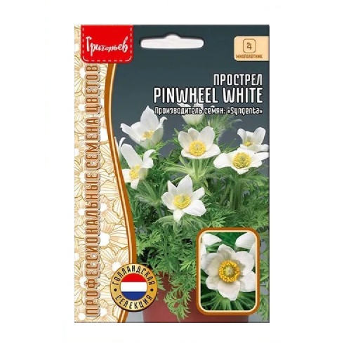 Прострел Pinwheel White 3шт_10