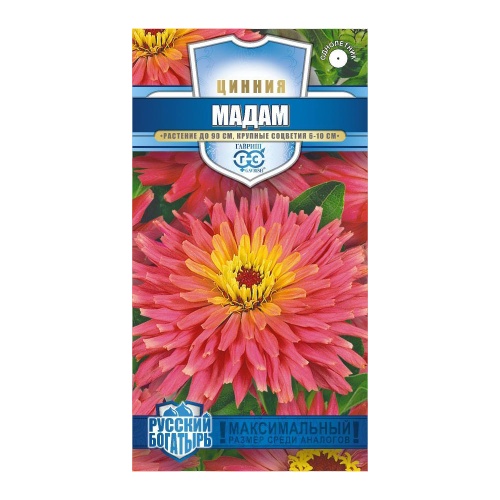 Цинния Мадам_Русский богатырь  0_2гр_10