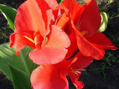 7515045c893be7bf2c5efc6acd2d0ade