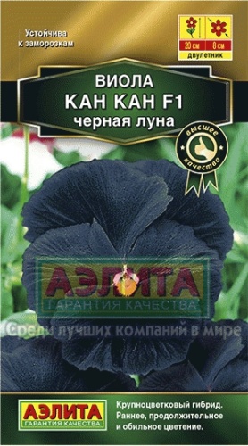 Виола Кан-Кан Черная луна F1 7шт _10