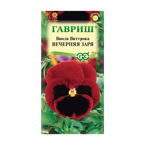 Виола Виттрока Вечерняя заря  0_05гр_10