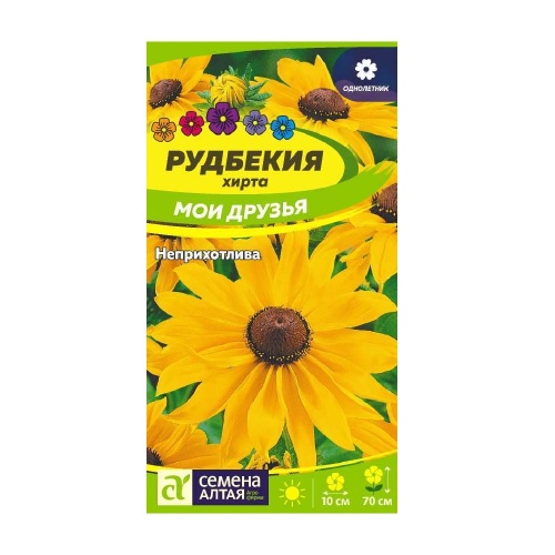 Рудбекия Мои друзья 0_2гр _10