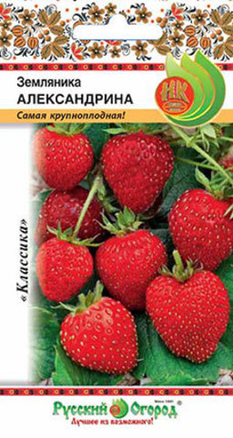 Земляника Александрина  0_05гр_10_200