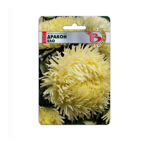Астра Дракон селект Ело  30шт_5