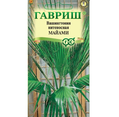 Вашингтония Майами нитеносная  3шт_10