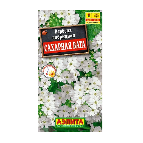 Вербена Сахарная вата 20шт_10