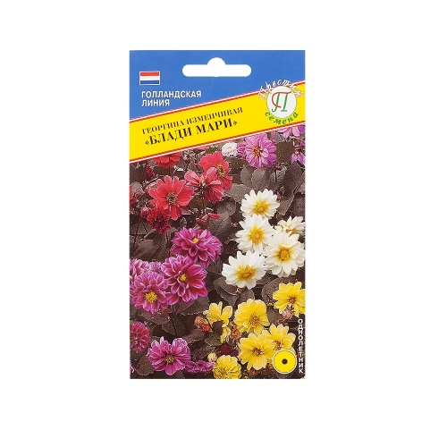 Георгина Блади Мари изменчивая  20шт_10_50