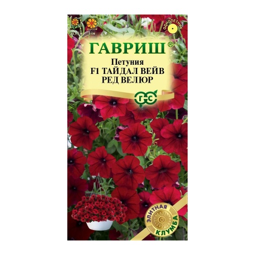 Петуния Тайдал Вейв ред велюр F1 (Минитуния) суперкаскад. 4 шт_10