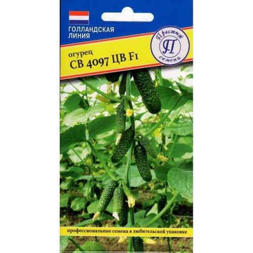 Огурец СВ 4097 ЦВ F1 5шт _10