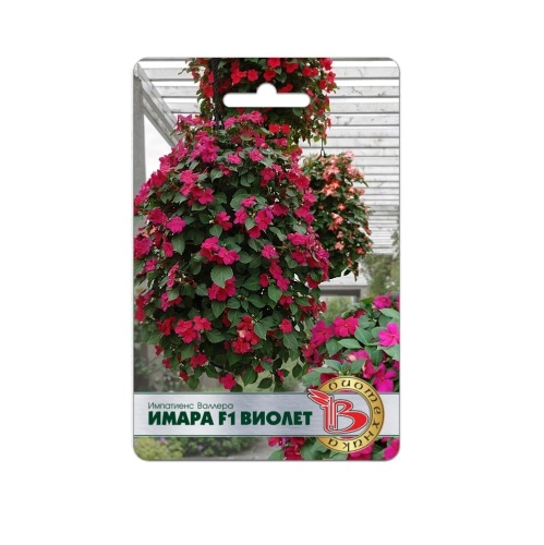 Импатиенс Валлера Имара F1 Виолет  8шт_5_10