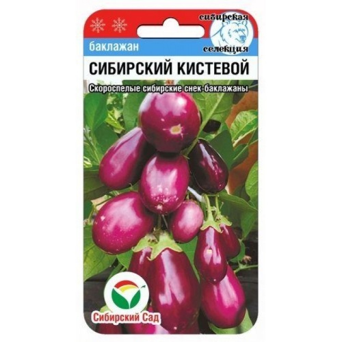 Баклажан Сибирский кистевой  20шт_10