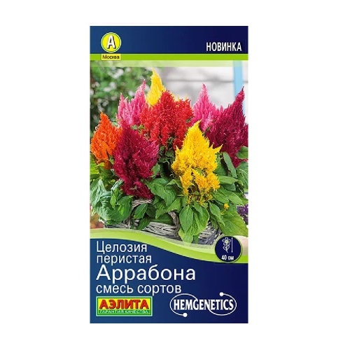 Целозия перистая Аррабона_ смесь сортов 7шт _10