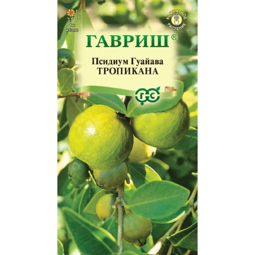 Псидиум (Гуайава) Тропикана  0_2гр_10