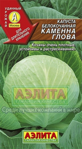 Капуста б_к Каменна глова  0_3-0_5гр_10