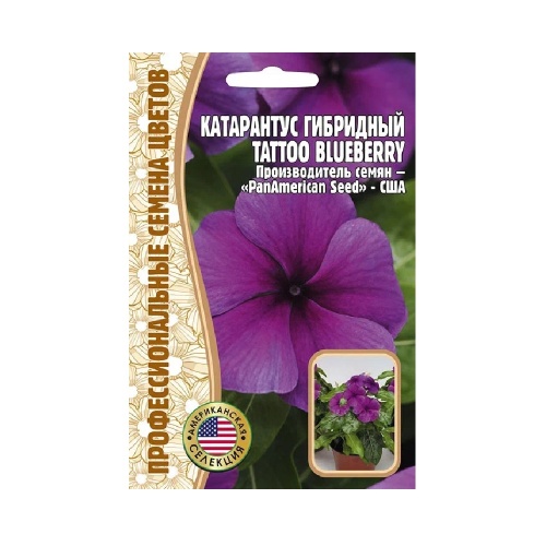 Катарантус TATTOO Blueberry гибридный F1 5шт_10