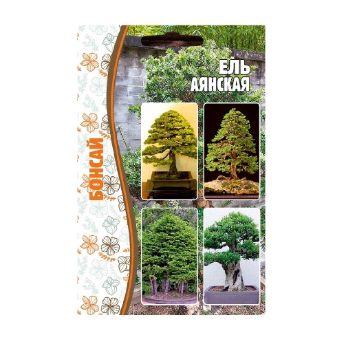 Ель Аянская  10шт_10