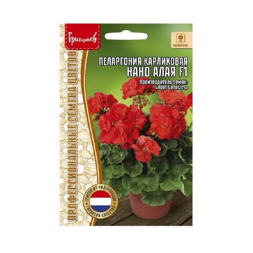 Пеларгония Нано Алая F1 карликовая 3шт _10