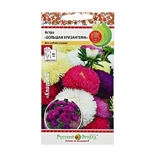 Астра Большая Хризантема смесь  50шт_10_200