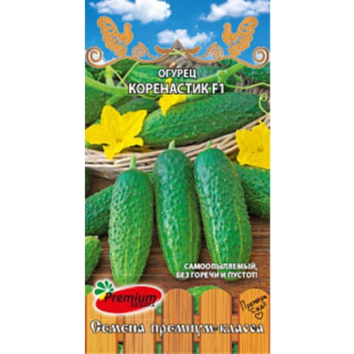 Огурец Коренастик F1 0.2 гр _10