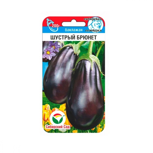 Баклажан Шустрый брюнет 20шт_10