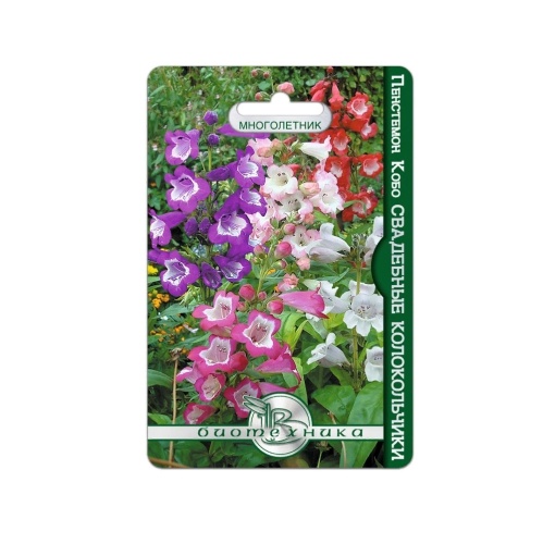 Пенстемон Кобо Свадебные Колокольчики  20шт_5_10