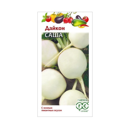 Дайкон Саша  1гр_10