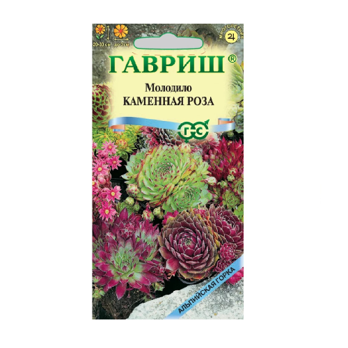 Молодило каменная Роза_Альпийская горка  0_01гр_10