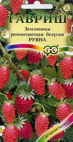 Земляника Руяна_Ягодная полянка  0_03гр_10