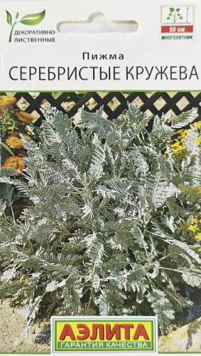 Пижма Серебристые кружева 5шт _10