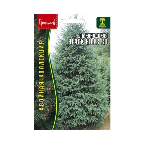 Ель канадская густая Black Hills  10шт_10