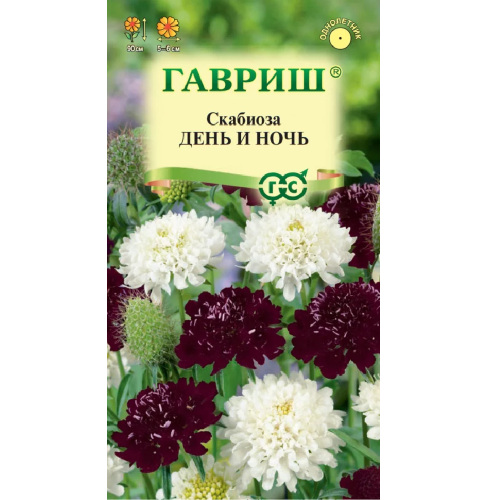 Скабиоза День и ночь пурпурная смесь  0_2гр_10