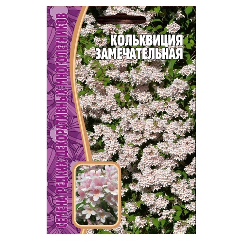 Кольквиция Замечательная  4шт_10