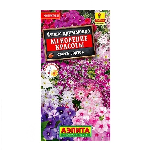 Флокс друммонда Мгновение красоты смесь  0_1гр_10