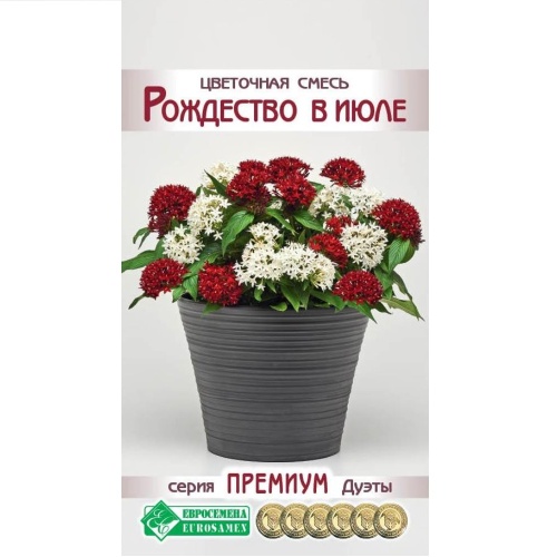 Цветочная смесь Рождество в июле  4шт_10