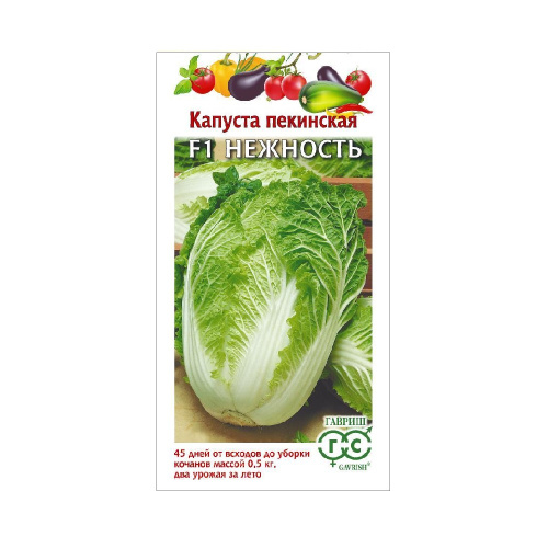 Капуста пекинская Нежность F1  0_2гр_10