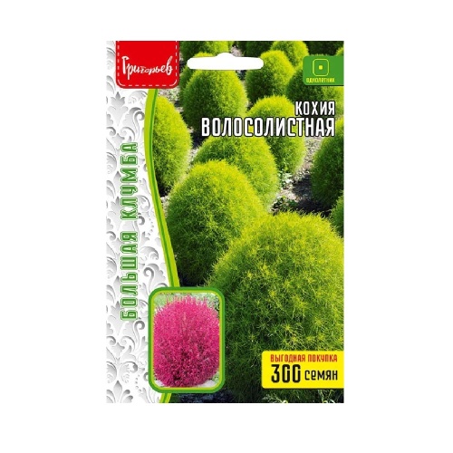 Кохия Волосолистная 300шт _ 10