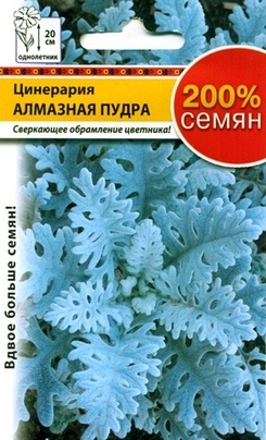 Цинерария Алмазная пудра 200%  0_2гр_10_200