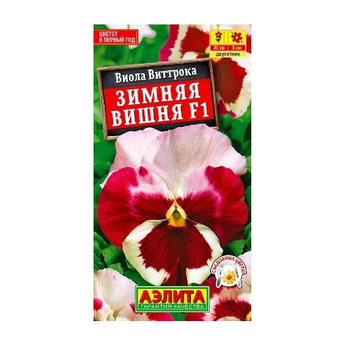 Виола Зимняя вишня F1 7шт  _10