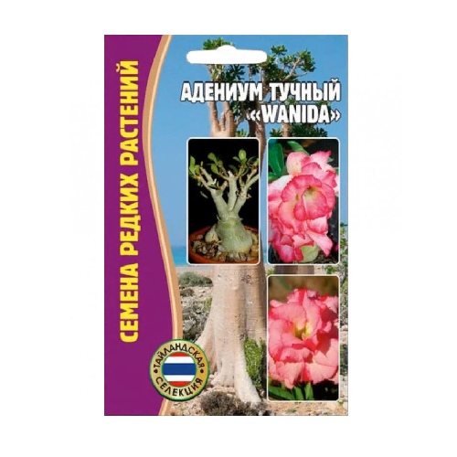 Адениум Wanida тучный  3шт_10