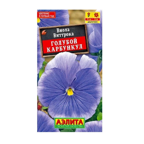 Виола Голубой Карбункул 20шт  _10