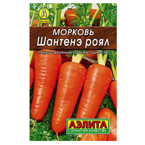 Морковь Шантенэ Роял  2гр_10
